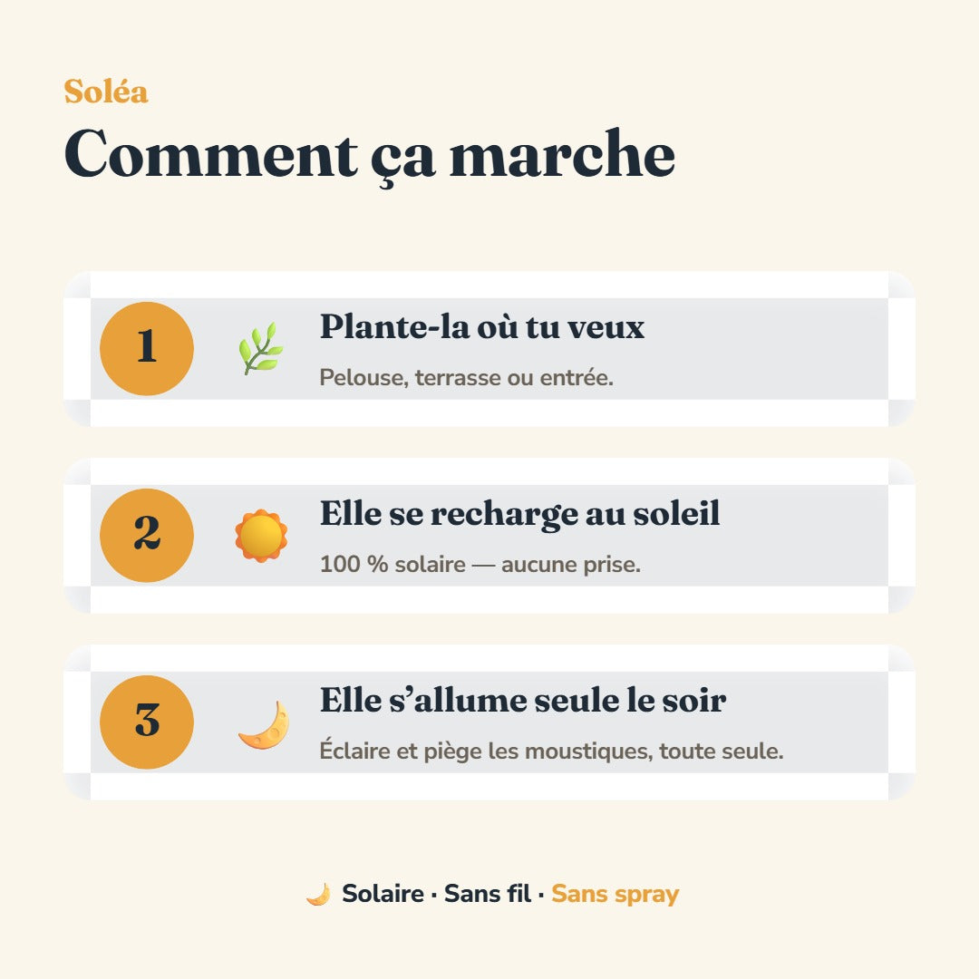 Comment ça marche : plante-la, elle se recharge au soleil, elle s'allume seule le soir